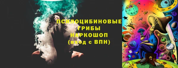 молекула духа Михайловск