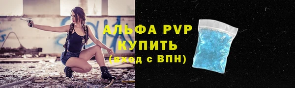 сатива Медногорск