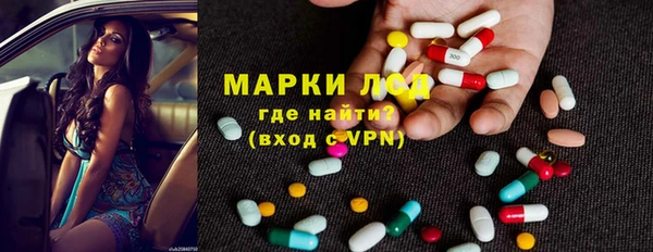 сатива Медногорск