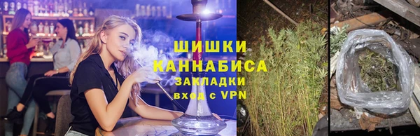 сатива Медногорск