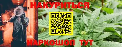прущие грибы Бийск