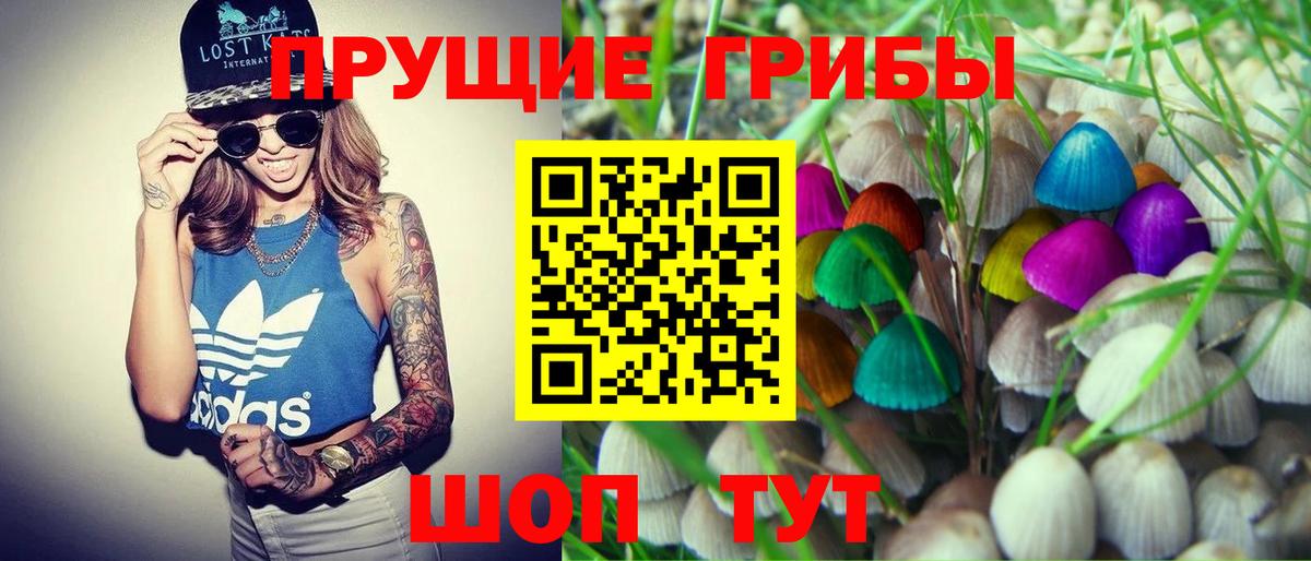Пушкино  Галлюциногенные грибы Magic Shrooms  Вход с VPN 