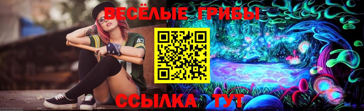 Галлюциногенные грибы Cubensis Пушкино